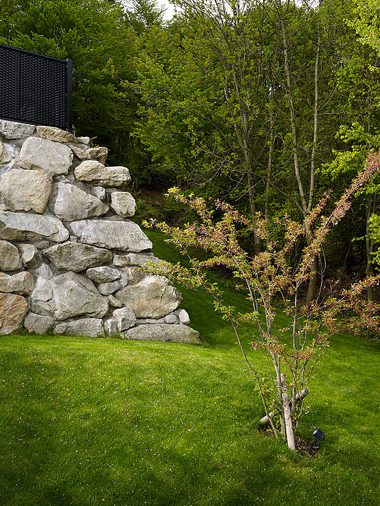 extra_Immensee-EFH-Stillhart-Feuz