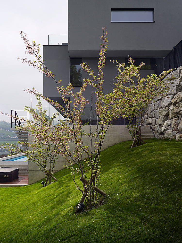 extra_Immensee-EFH-Stillhart-Feuz