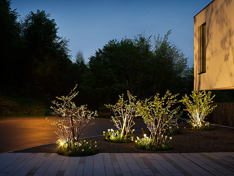 extra_Immensee-EFH-Stillhart-Feuz